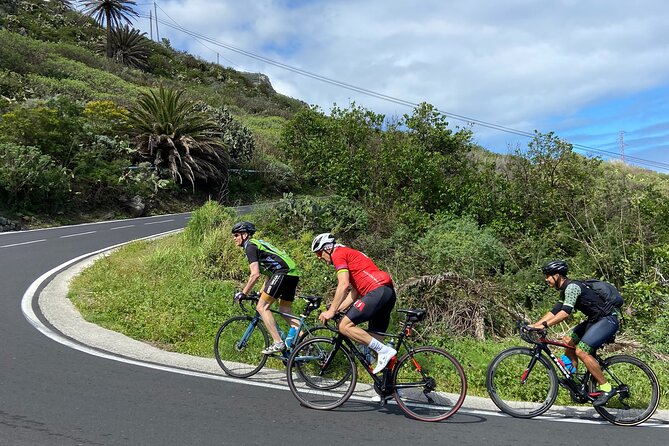 1/2 day guided roadbike tour - Pace, Group Size, and How Much Fitness You Actually Need