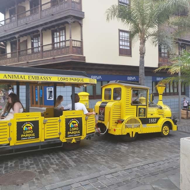 1.5-hour walking tour of Puerto de la Cruz, Tenerife. - Plaza de Europa by the water: What the ocean-walk actually feels like