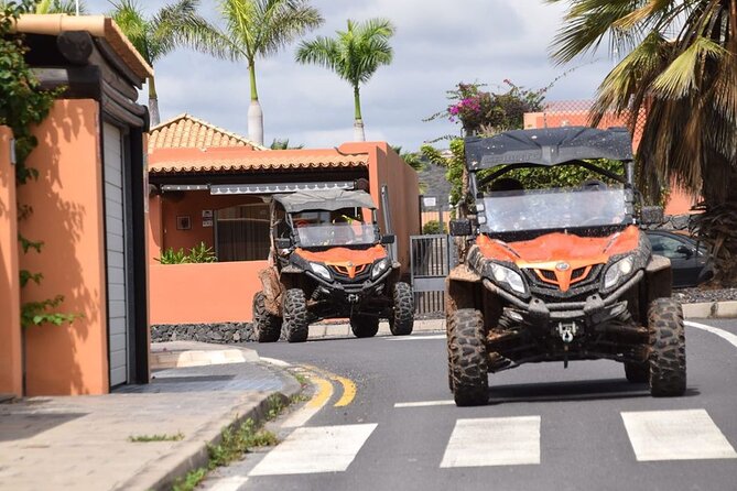 2 hour Buggy Tour in Tenerife with 40 minutes Off-Road - Pickup From Los Cristianos to Callao Salvaje: Timing That Won’t Eat Your Day
