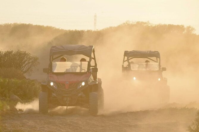 2 hour Buggy Tour in Tenerife with 40 minutes Off-Road - What to Bring (and What to Skip) for a Dusty Buggy Day