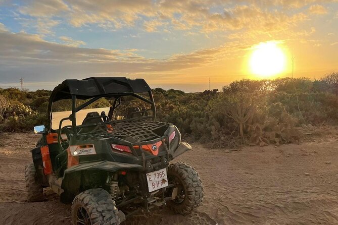2 hour Buggy Tour in Tenerife with 40 minutes Off-Road - Who Should Book This Tenerife Buggy Tour?