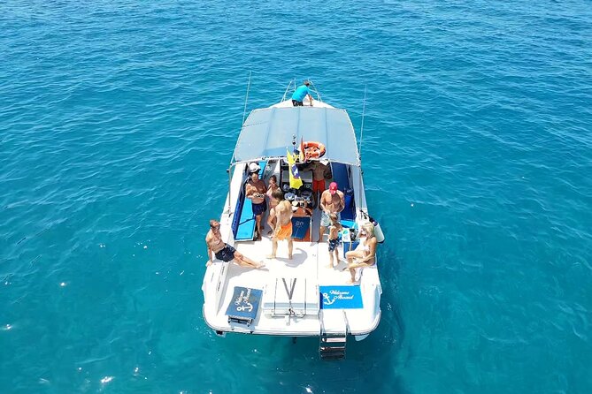 2 hour trip to see whales dolphins puerto colon adeje - Key highlights before you go