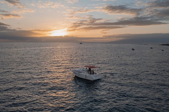 2 Hour VIP Private Luxury Sunset Boat Charter in Tenerife - Key Points You’ll Actually Care About