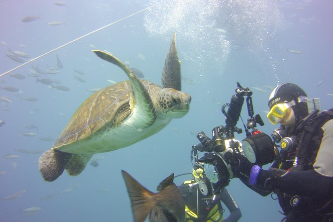 2x diving package, on request including refreshment - Two different kinds of underwater time: shore and boat options