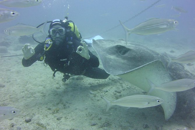 2x diving package, on request including refreshment - Price and value: what $168.03 per person covers (and what doesn’t)