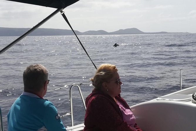3-Hour Boat Trip from Costa Adeje in Tenerife - Price and value: is $65.16 worth it?