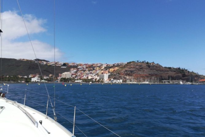 3-Hour Boat Trip from Costa Adeje in Tenerife - Who should book this, and who should choose differently
