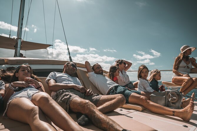 3-hour catamaran excursion along the Costa Adeje - Who This Catamaran Excursion Is Best For