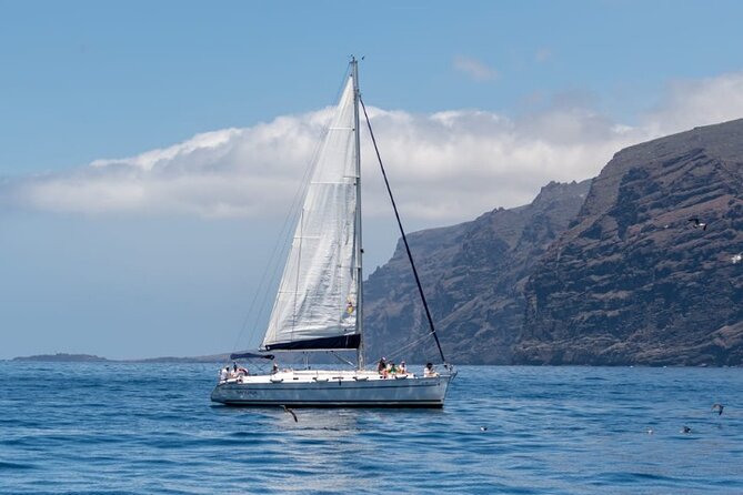 3-Hour Cetacean Watching and Snorkeling Tour in Tenerife - From Puerto de Los Gigantes Aboard the Sangria Sailboat
