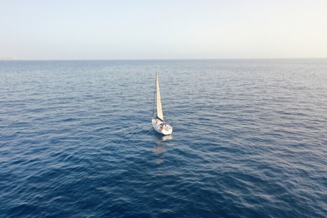 3-Hour Cetacean Watching and Snorkeling Tour in Tenerife - The Price: Why $21 Feels Like a Deal (When You Think About What’s Included)