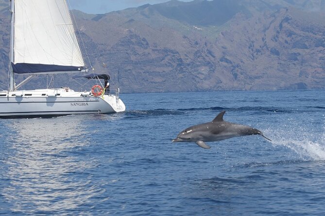 3-Hour Cetacean Watching and Snorkeling Tour in Tenerife - Timing, Seas, and Weather Reality Checks