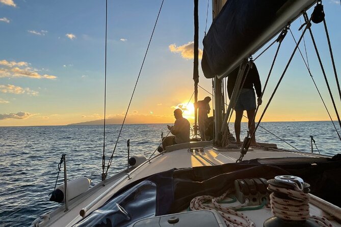 3-Hour Cetacean Watching and Snorkeling Tour in Tenerife - Acantilado de los Gigantes Stop: Tapas, Drinks, and Cliff Views