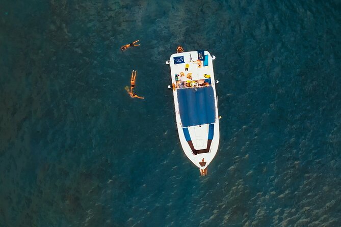 3-hour excursion to Puerto Colón Adeje to see whales - From Puerto Colón to Gomera: the whale-spotting sail