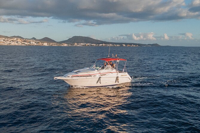 3 Hour VIP Private Luxury Boat Charter in Tenerife - Who This Boat Charter Suits Best in Tenerife