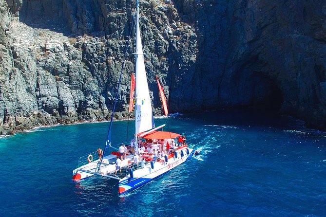 3-hour Whale and Dolphin Watching and Listening Tour - Key Things I’d Prioritize Before You Go