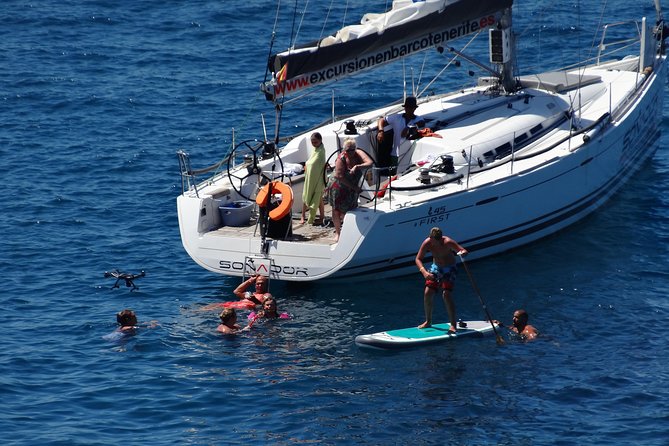 3 Hours All Inclusive Whale and Dolphin Whatching Yacht Trip - Los Gigantes and Masca: When the Coast Turns Into a Big Show