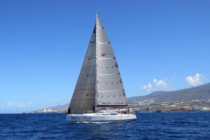 3 Hours All Inclusive Whale and Dolphin Whatching Yacht Trip - All-Inclusive Food and Drinks That Don’t Feel Like an Afterthought