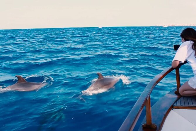 3-Hours Private Tour to Accessible Boat en Canary Island - Who this private accessible boat tour is best for