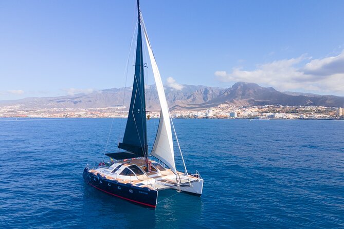 3 hrs. Whale Watching and Relaxing Chill Out Catamaran with glass floor - Group size, comfort, and who this tour fits best