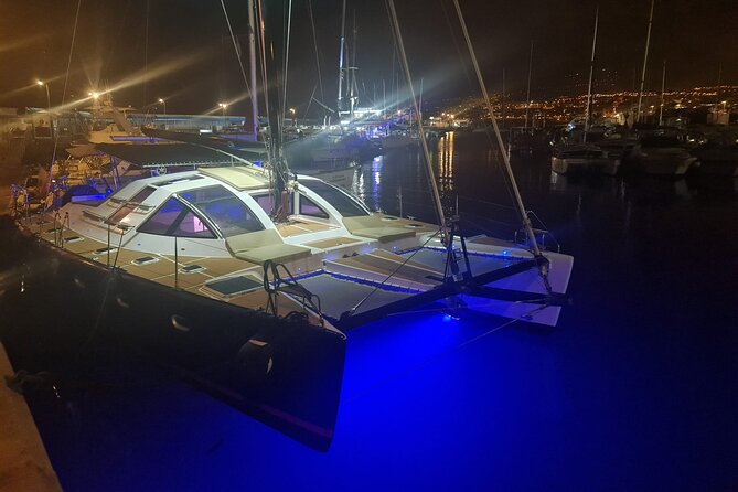 3 hrs. Whale Watching and Relaxing Chill Out Catamaran with glass floor - Practical tips: how to improve your odds without overthinking it