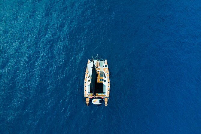 3 hrs. Whale Watching and Relaxing Chill Out Catamaran with glass floor - Spotting whales and dolphins: how the live commentary changes the experience