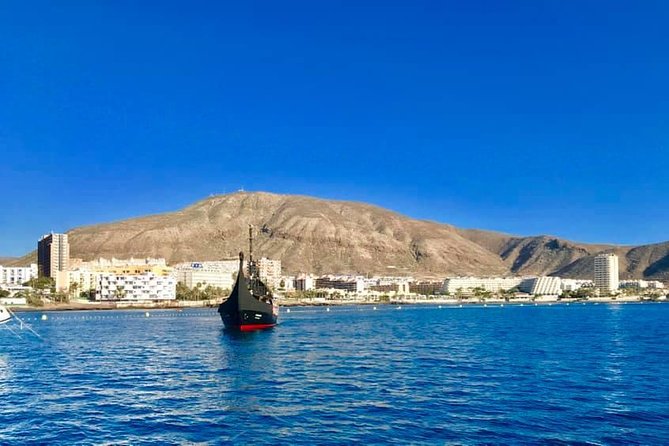 3h Viking Cruise with Drinks, Whales watching & Swimming Time - From harbour photos to a sea scan: whale and dolphin watching rules