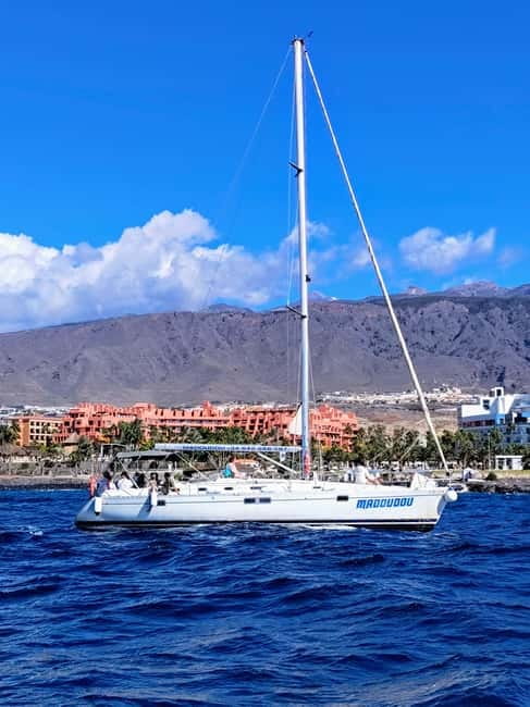3h Whale Watching Private tour Beneteau Oceanis 440 - Puerto Colón whale watching on Madoudou: what makes this trip work