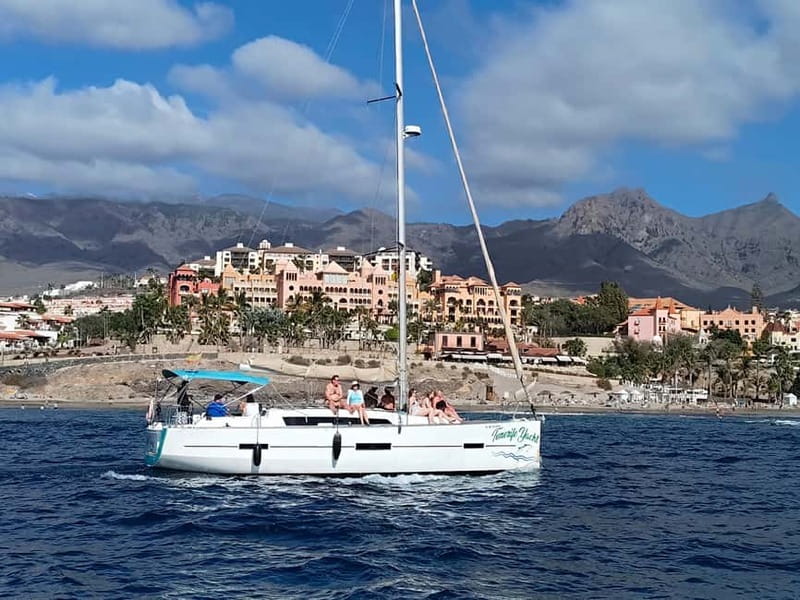 3h Whale Watching Private Tour Costa Adeje Lina7 Mizendoha - Private group value: $648 for up to 11, and when it makes sense