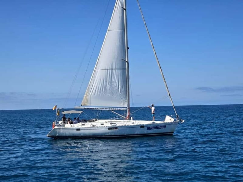 3h Whale Watching Share Tour Beneteau Oceanis 440 - Key highlights you’ll actually care about