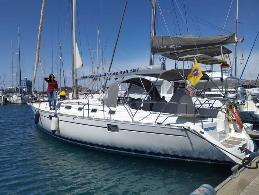 3h Whale Watching Share Tour Beneteau Oceanis 440 - Should you book this Tenerife whale watching share?