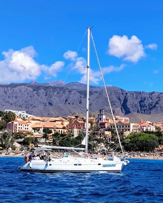 3h Whale Watching Share Tour Beneteau Oceanis 440 - What you’re really booking on Madoudou (Beneteau Oceanis 440)