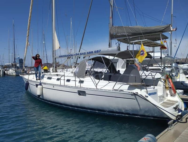 3h Whale Watching Share Tour Beneteau Oceanis 440 - Practical tips before you go