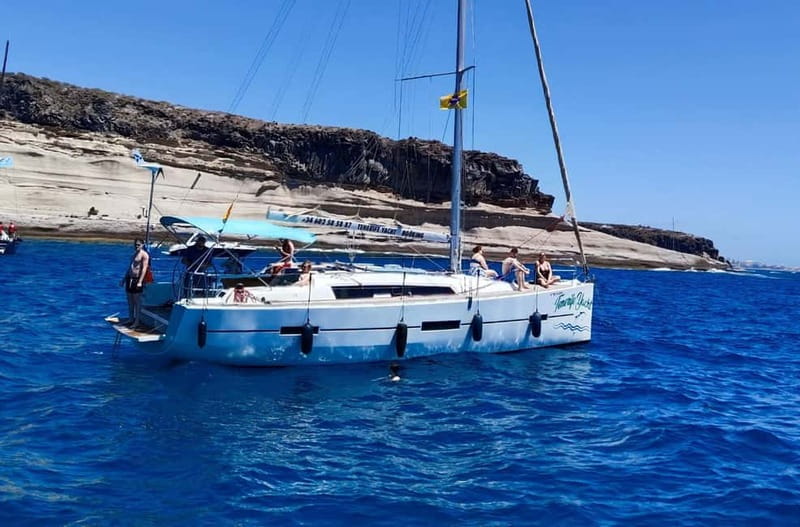 3h Whale watching Share Tour Costa Adeje Lina7 Mizendoha - Puerto Colón to Costa Adeje: How This 3-Hour Trip Flows