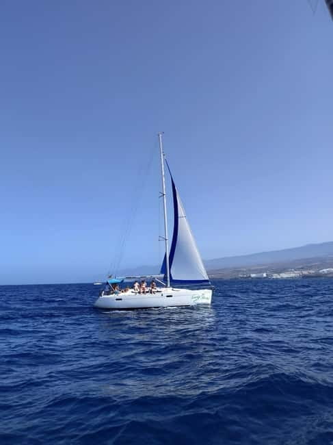 3h Whale watching Share Tour Costa Adeje Lina7 Mizendoha - Sailing Time Between Stops: Views, Wind, and Real-Time Weather Bets