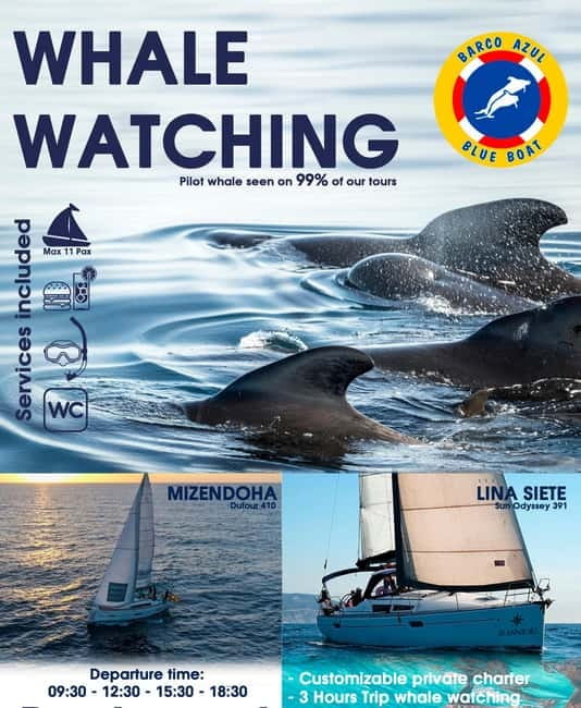 3h Whale watching Share Tour Costa Adeje Lina7 Mizendoha - Inside the Lina7/Mizendoha: Comfort on a 12-Meter Sailing Boat