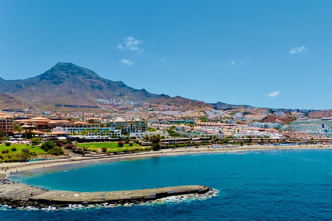 5 hr watching and listening whales and dolps. Visit Los Gigantes - Price and value: is $71.38 worth it?