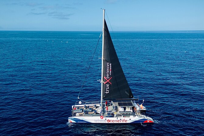 5 hr watching and listening whales and dolps. Visit Los Gigantes - Timing and meeting point: start smart at 10:30