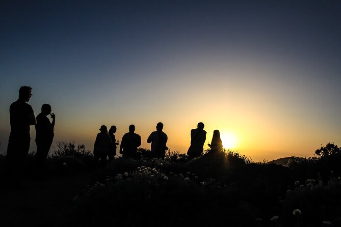 6-Hour Tour with Observation of the Stars 1242 with Lunch - How Stargazing 1242 works on Tenerife (and why it’s a smart format)