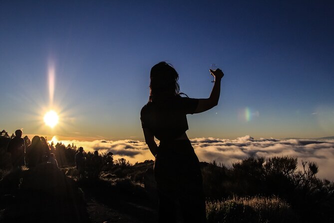 6-Hour Tour with Observation of the Stars 1242 with Lunch - Price and value: is $75 a fair deal for this format?