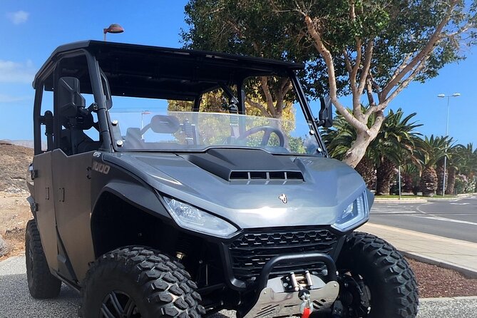 6-Seater Monster Buggy Teide Tour - Key things I’d clock before you book