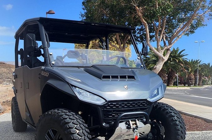6-Seater Monster Buggy Teide Tour - Driving the buggy: licensing rules can limit who gets behind the wheel