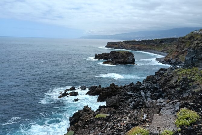 6hrs Private Tour in North Coast of Tenerife - Why North Tenerife feels different (and worth 6 hours)