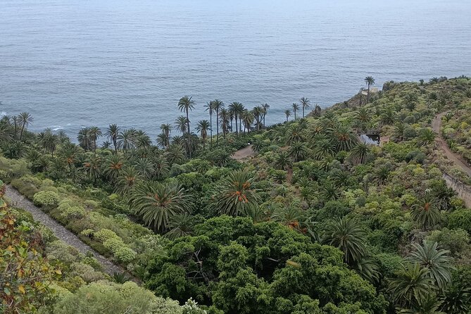 6hrs Private Tour in North Coast of Tenerife - Stop 4: San Juan de la Rambla’s historic center and La Laja natural pool