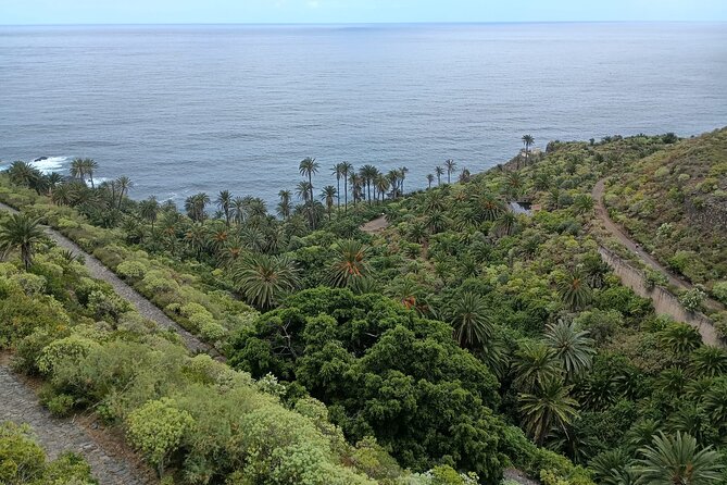 6hrs Private Tour in North Coast of Tenerife - Price and value for a private north-coast day