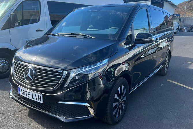 8-Hour Rental in a Luxury Car and Driver/Official Private Guide in Tenerife - Your route choice: Los Gigantes, Masca, Teide, Pico del Teide, and Vilaflor