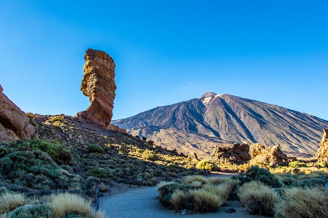 8-Hour Rental in a Luxury Car and Driver/Official Private Guide in Tenerife - Who this Tenerife day tour fits best
