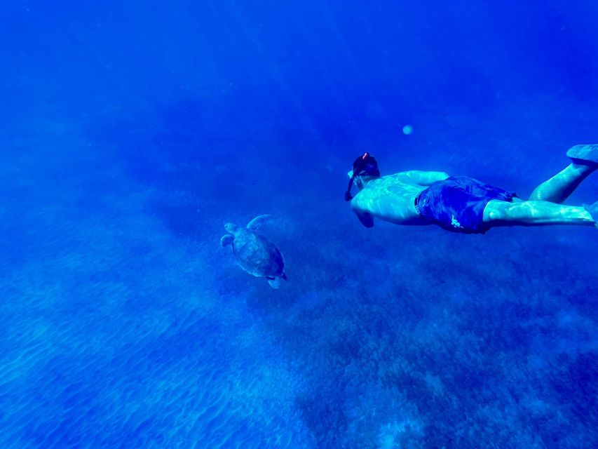 Abades: Guided Snorkeling Tour with Photos - Key highlights I’d plan around