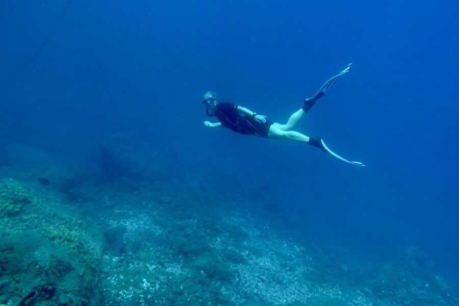Abades: Guided Snorkeling Tour with Photos - The 2-hour plan: reef fish first, then a careful wildlife search