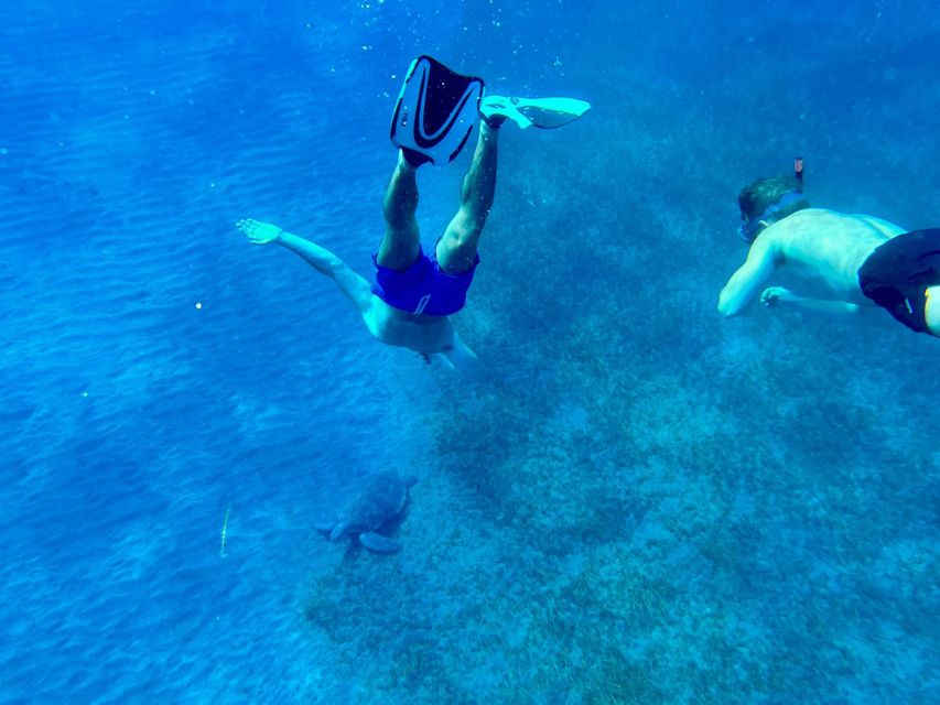 Abades: Guided Snorkeling Tour with Photos - Safety-first guiding: support for nervous swimmers and kids