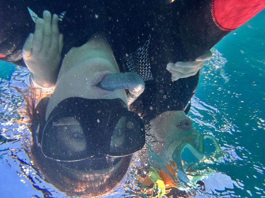 Abades: Guided Snorkeling Tour with Photos - Practical tips to get the best day possible